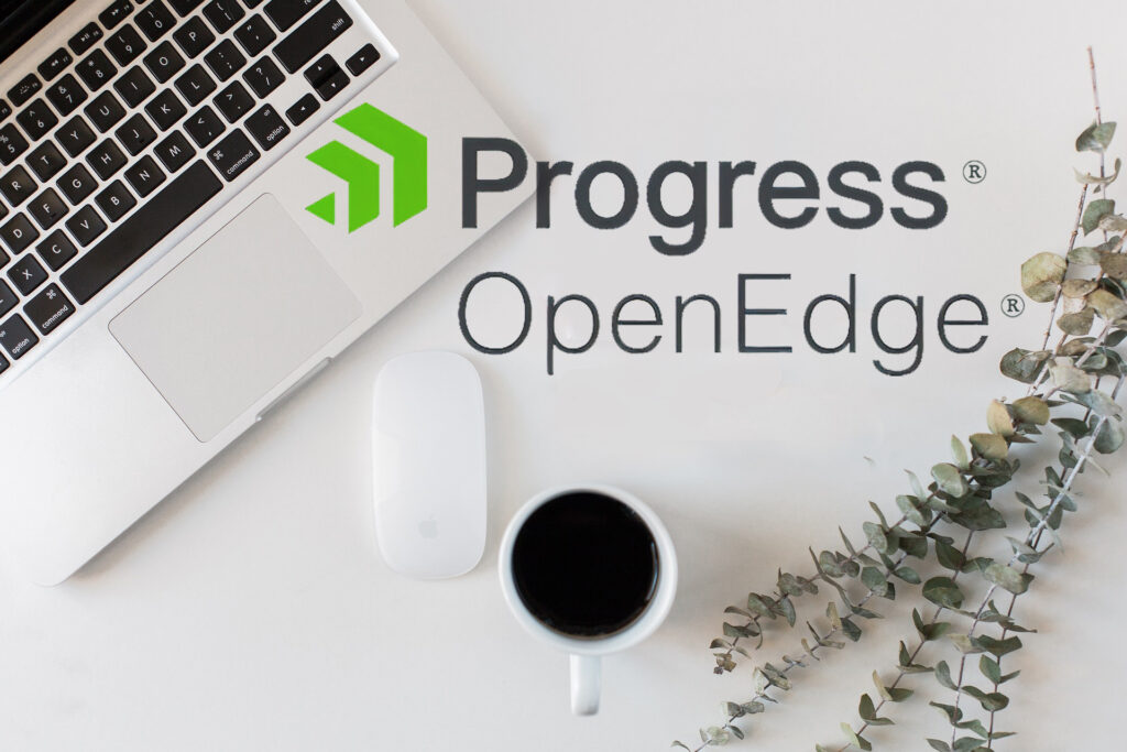 Progress_ OpenEdge-img